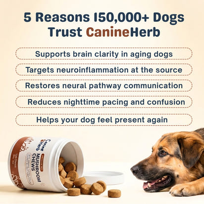 CanineHerb™  | 8 in 1 Mushroom Chews