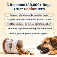 CanineHerb™  | 8 in 1 Mushroom Chews