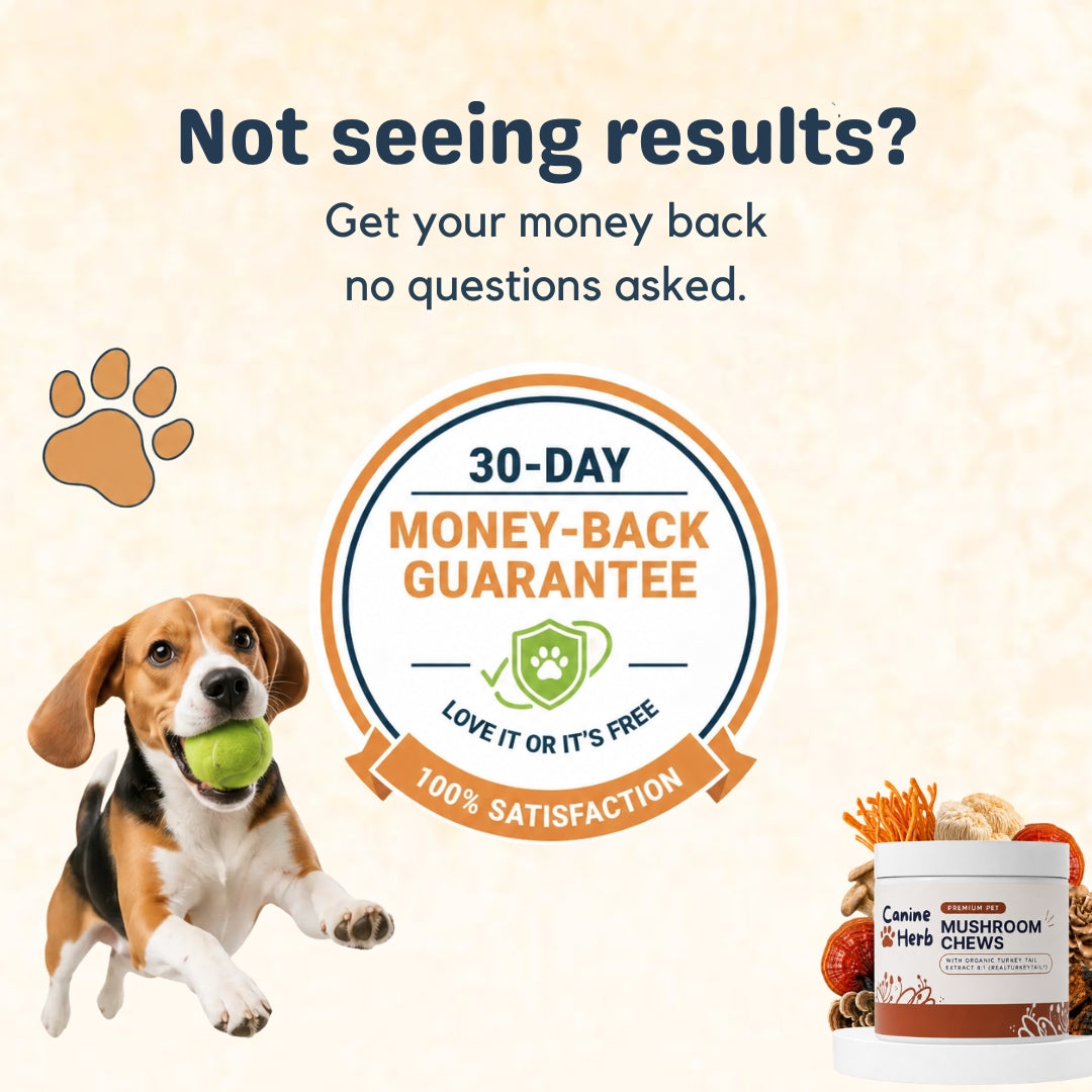 CanineHerb™  | 8 in 1 Mushroom Chews