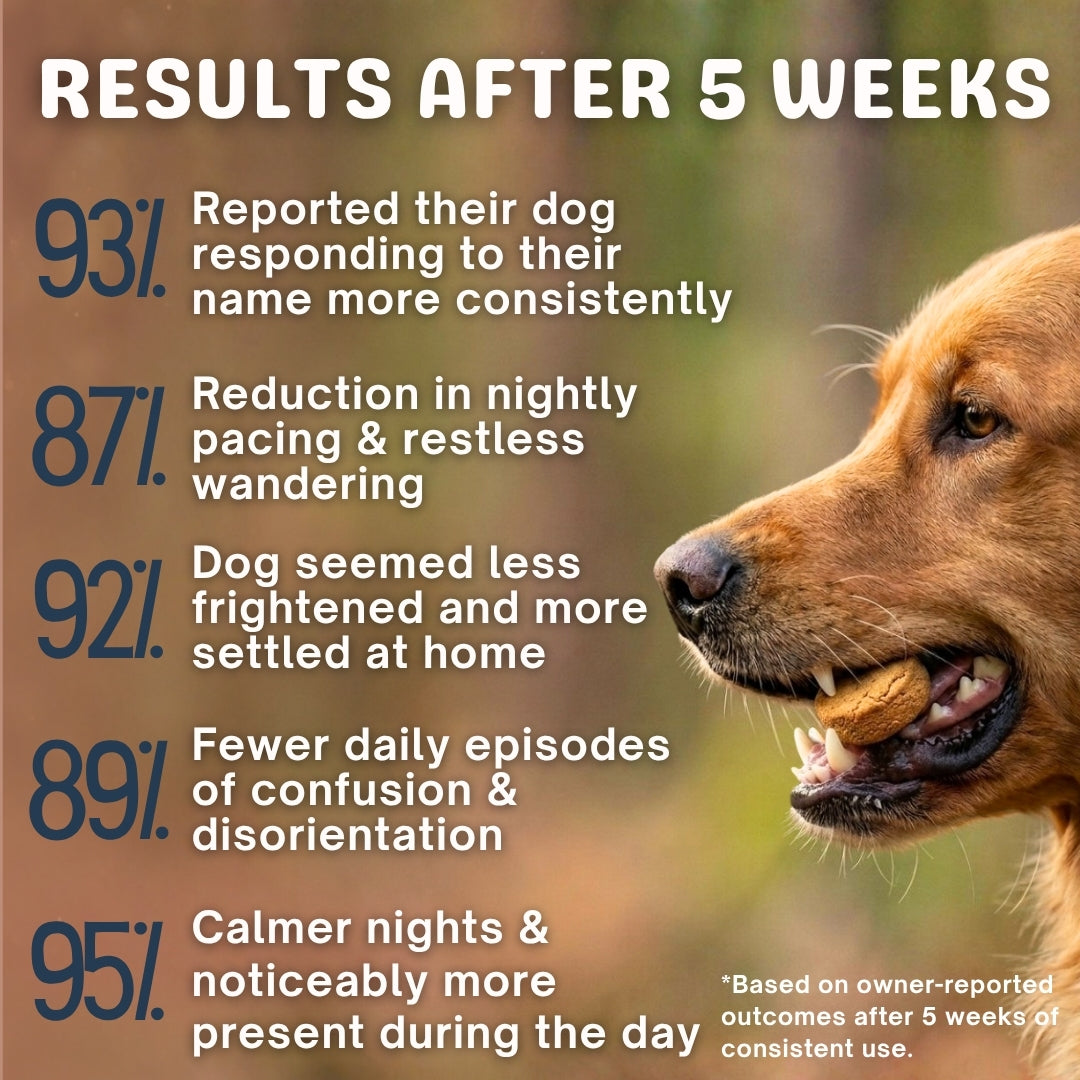 CanineHerb™  | 8 in 1 Mushroom Chews