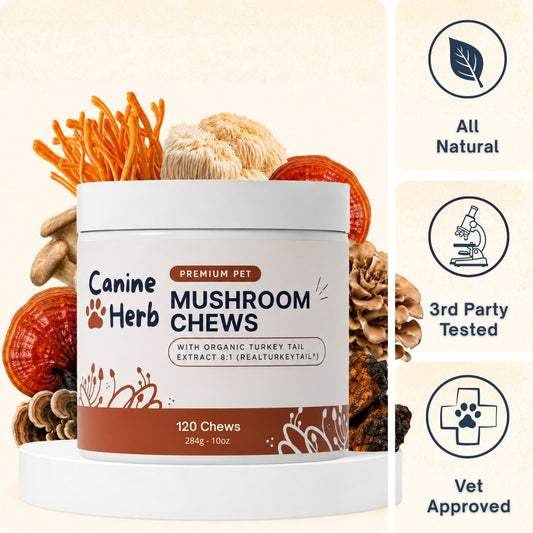 CanineHerb™  | 8 in 1 Mushroom Chews