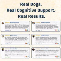 CanineHerb™  | 8 in 1 Mushroom Chews